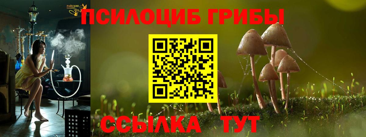 Псилоцибиновые грибы прущие грибы  Вход с VPN  Бутурлиновка 